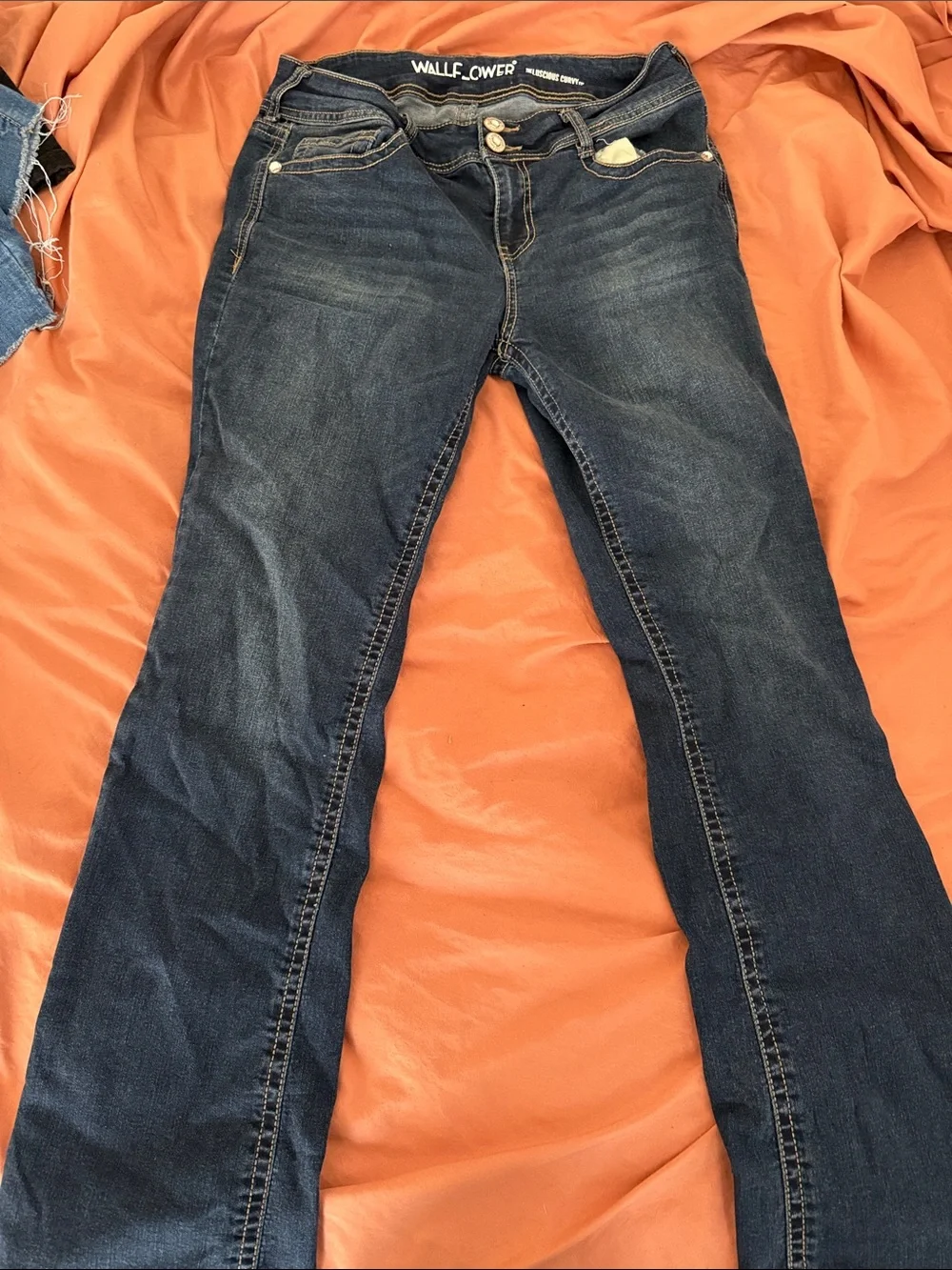 Wallflower Indigo Flare Jeans with Subtle Whiskering - Picture 1 of 4